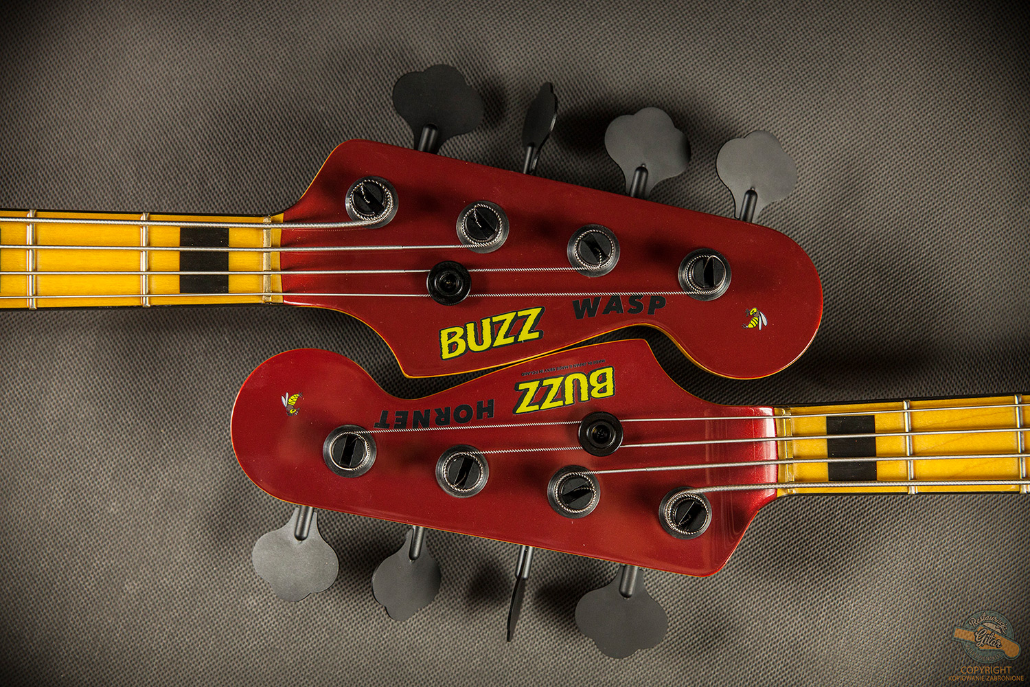 Buzz Guitars