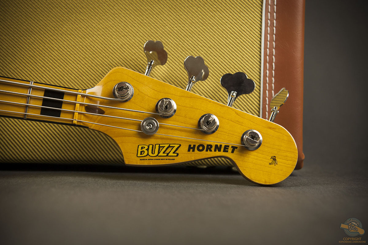 Buzz Guitars